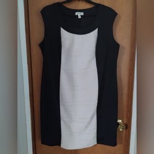 Dressbarn dress
